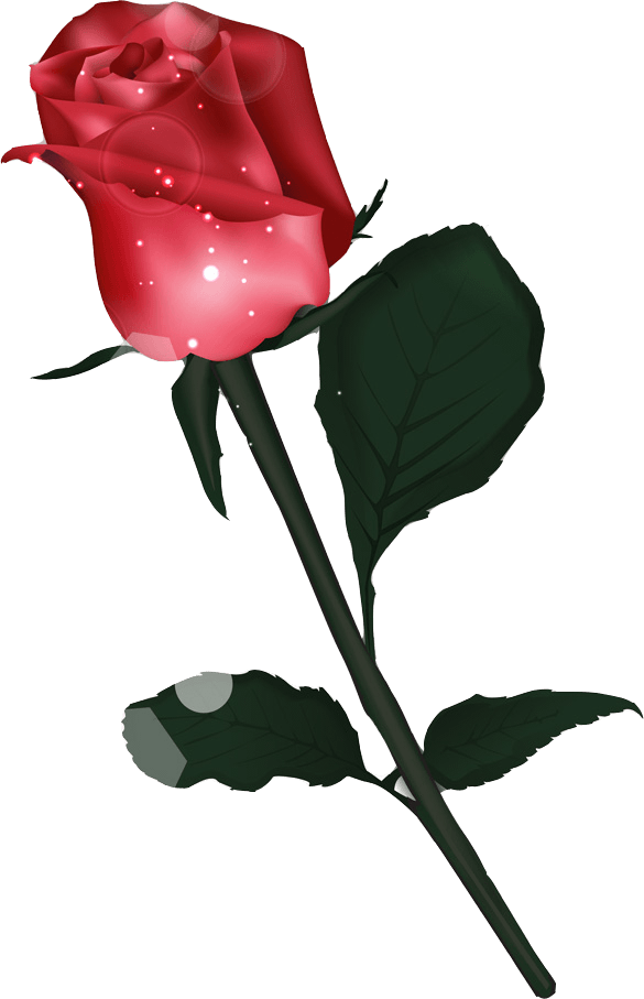 PC表示の薔薇